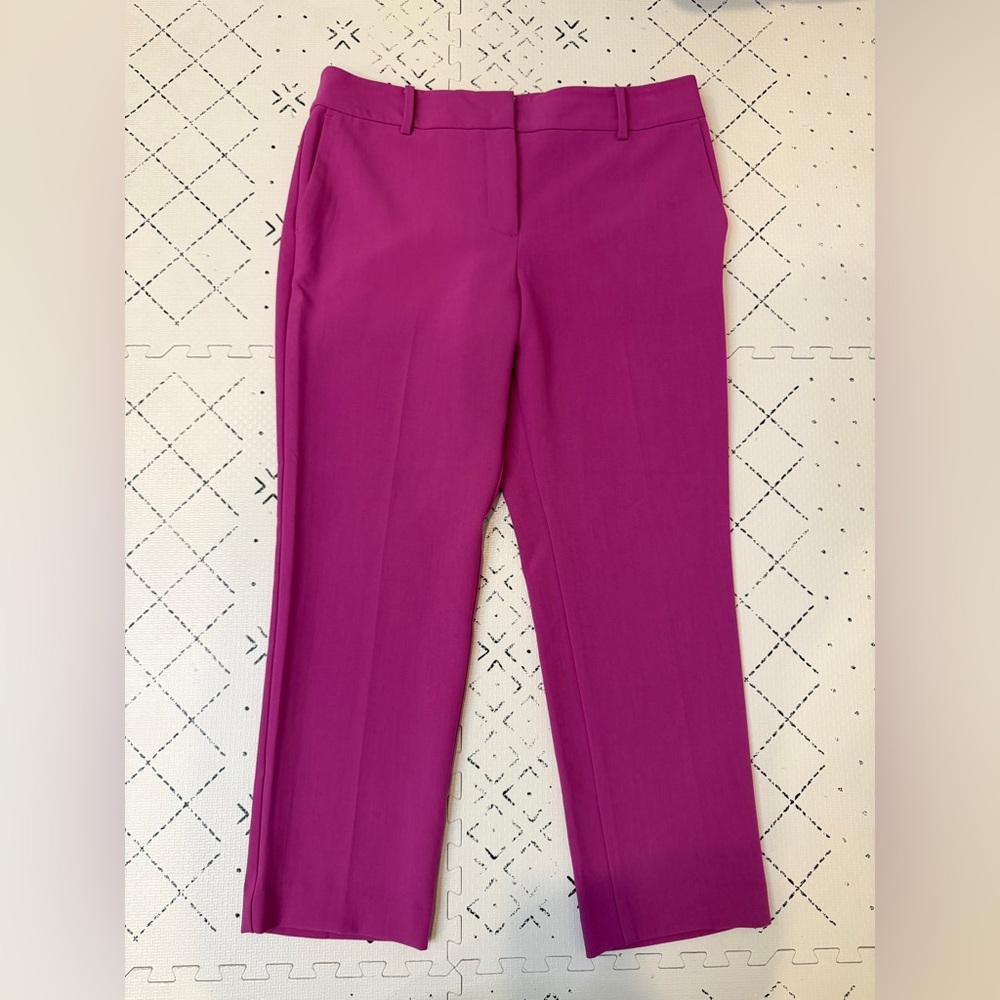 NWT Ann Taylor Factory‎ The Ankle Pant 10P